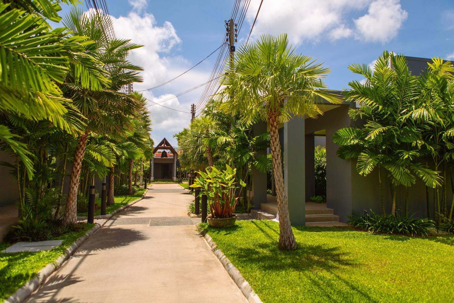 Rent villa IORAMA, Thailand, Phuket, Nai Harn | Villacarte