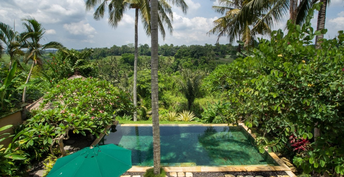 Продажа недвижимости ria-sayan, Индонезия, Бали, Убуд | Villacarte
