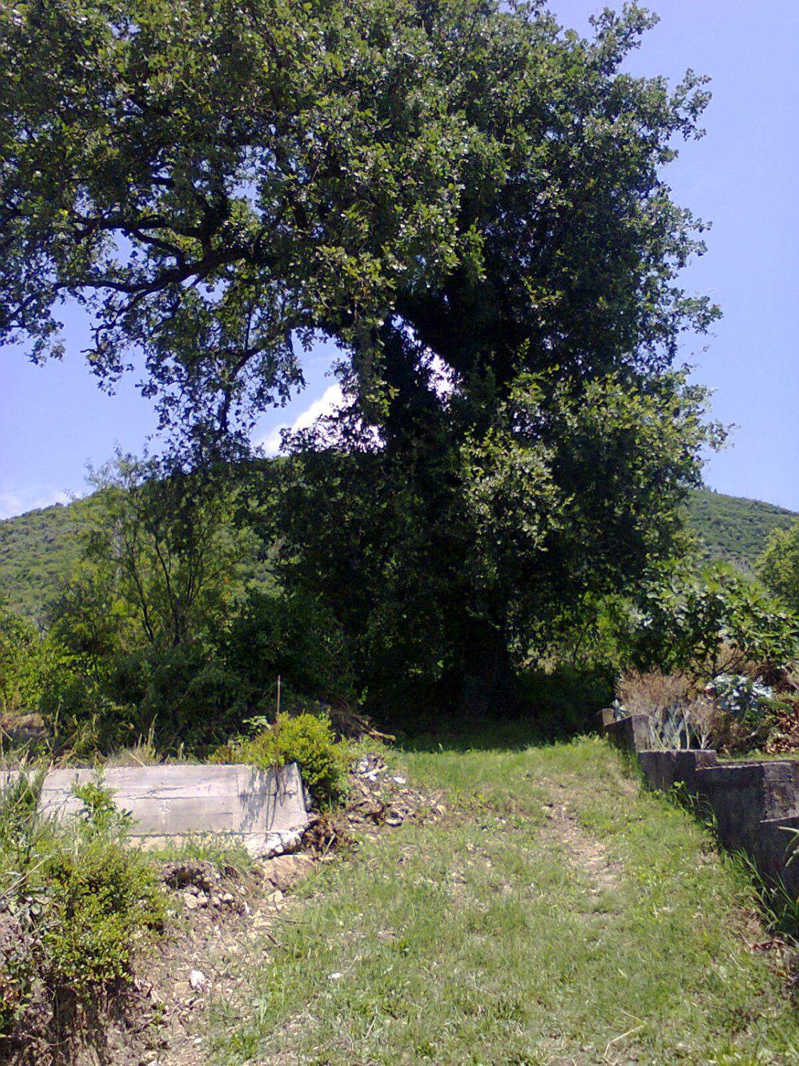 Продажа земельных участков, Черногория, Тиватский регион, Тиват | Villacarte