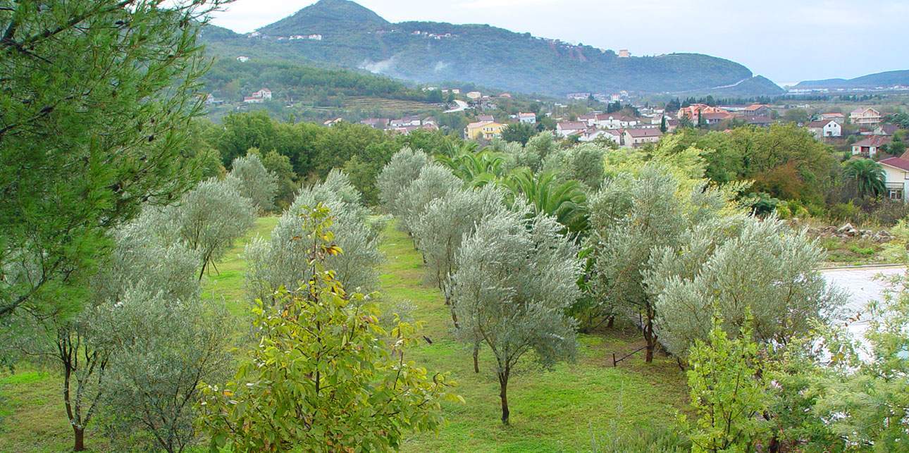 Продажа земельных участков, Черногория, Будванский регион, Ластва Грбальска | Villacarte