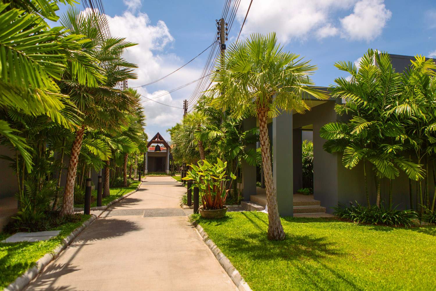 Rent villa Onyx Aruhe, Thailand, Phuket, Nai Harn | Villacarte