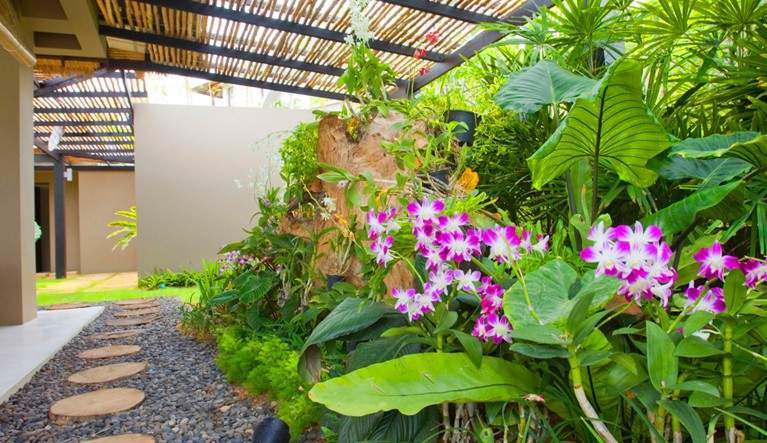 Rent villa Orchid, Thailand, Samui, Chaweng | Villacarte