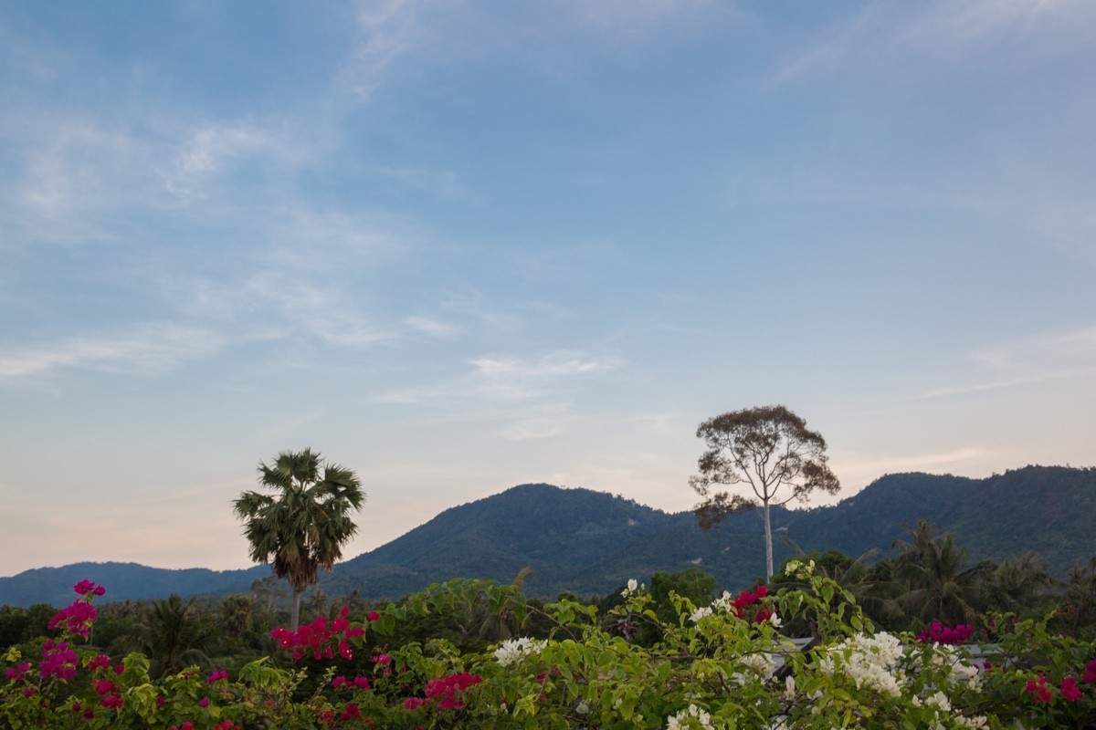 Rent villa Eulalie, Thailand, Samui, Maenam | Villacarte