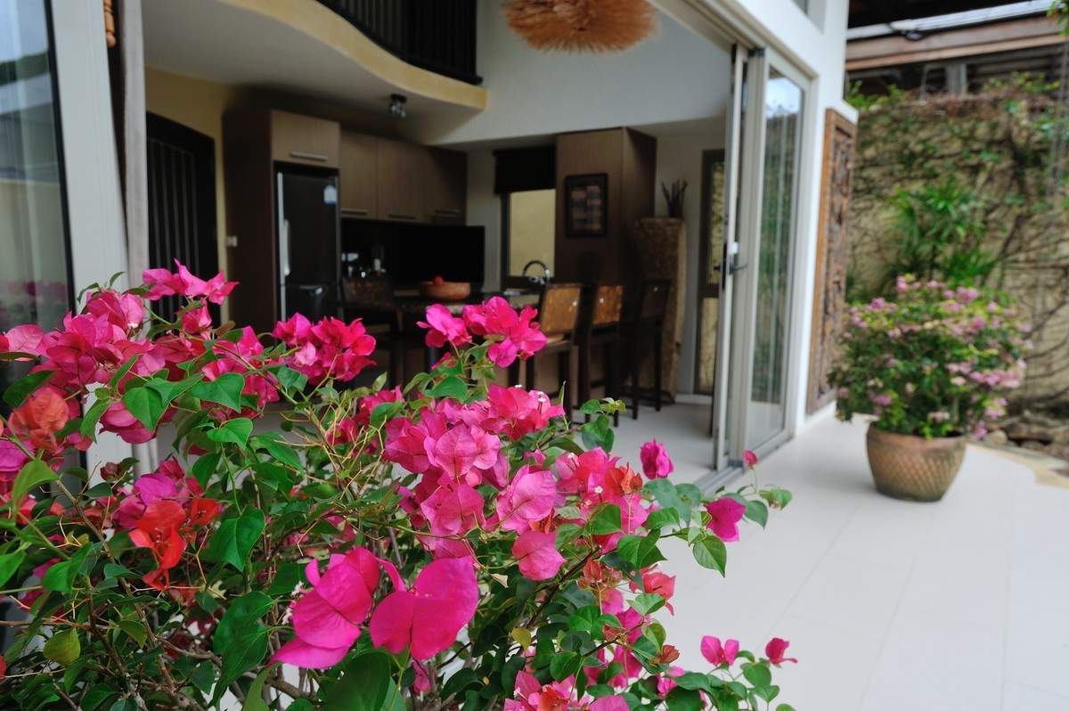 Rent villa Flamingo, Thailand, Samui, Maenam | Villacarte